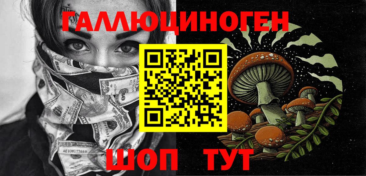 продажа наркотиков  Вход с VPN  Кореновск  Псилоцибиновые грибы мицелий 