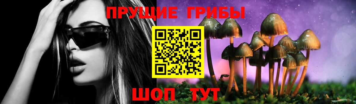 Галлюциногенные грибы Cubensis Кореновск